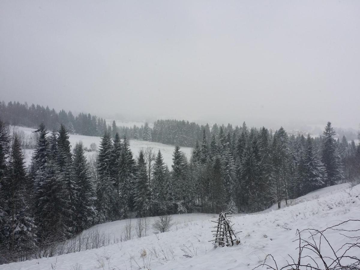 Apartament U Ewki Rdzawka Luaran gambar