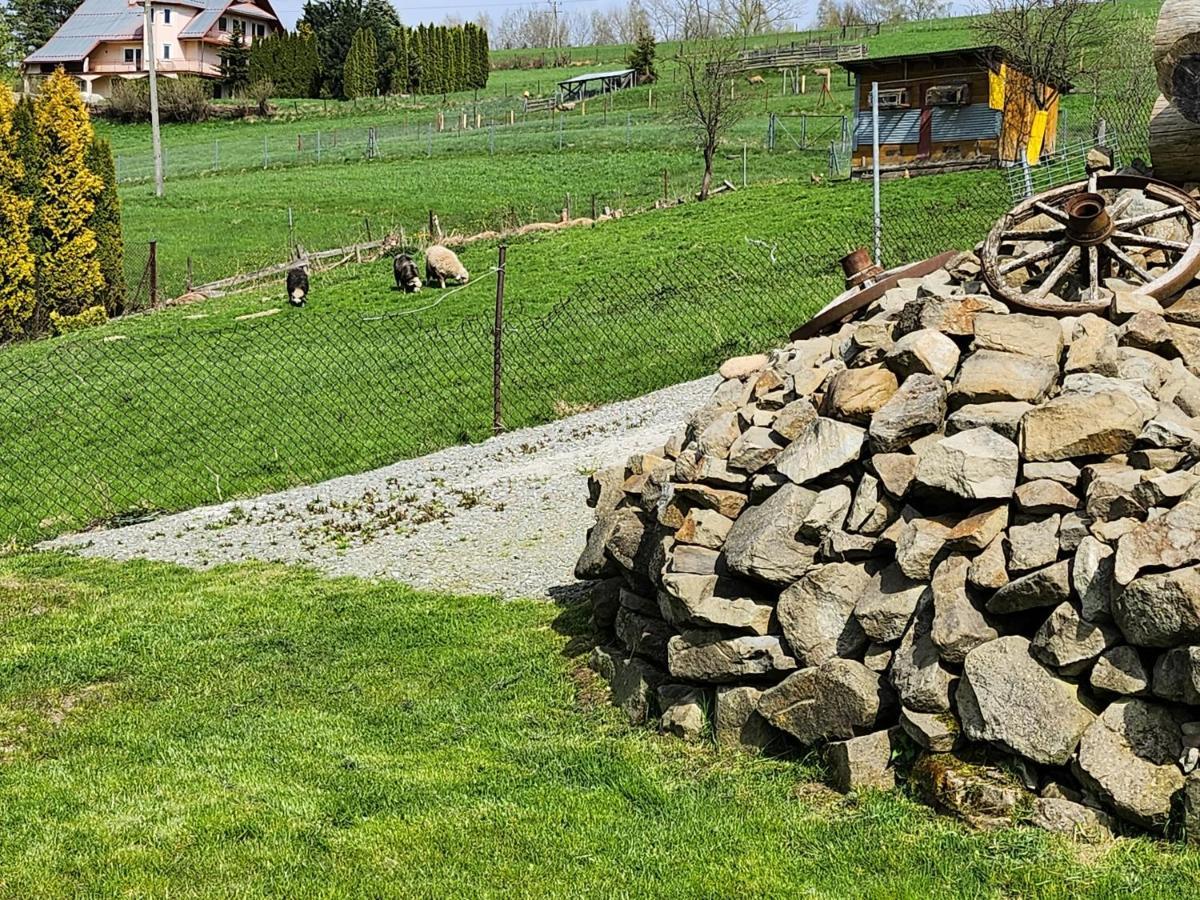 Apartament U Ewki Rdzawka Luaran gambar