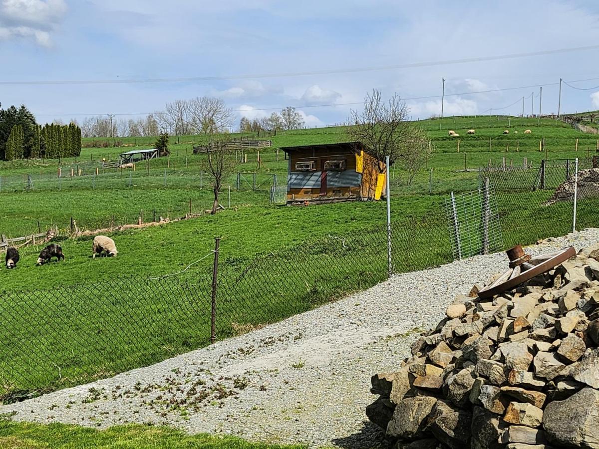 Apartament U Ewki Rdzawka Luaran gambar